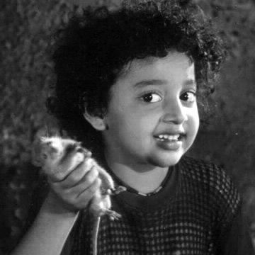 Daisy Irani